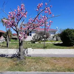 Homestay Double Room, Near The Center, Christchurch